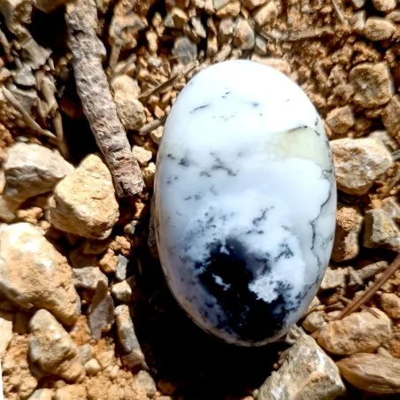 Agate dendritique - Galet - Lithothérapie