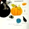 Kit de Lithothérapie de Samhain - ensemble de cristaux - Lithothérapie - boutique ésotérique