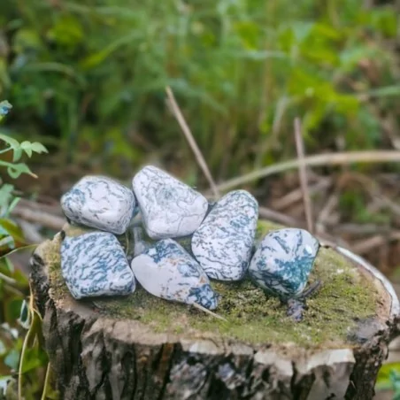 Agate arbre - Pierre roulée - Lithothérapie