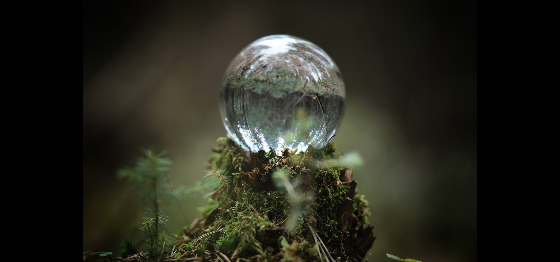 Boule de voyance - Boule de cristal - Cristallomancie - Outils de divination - Boutique ésotérique - La Malle Aux Sorcières